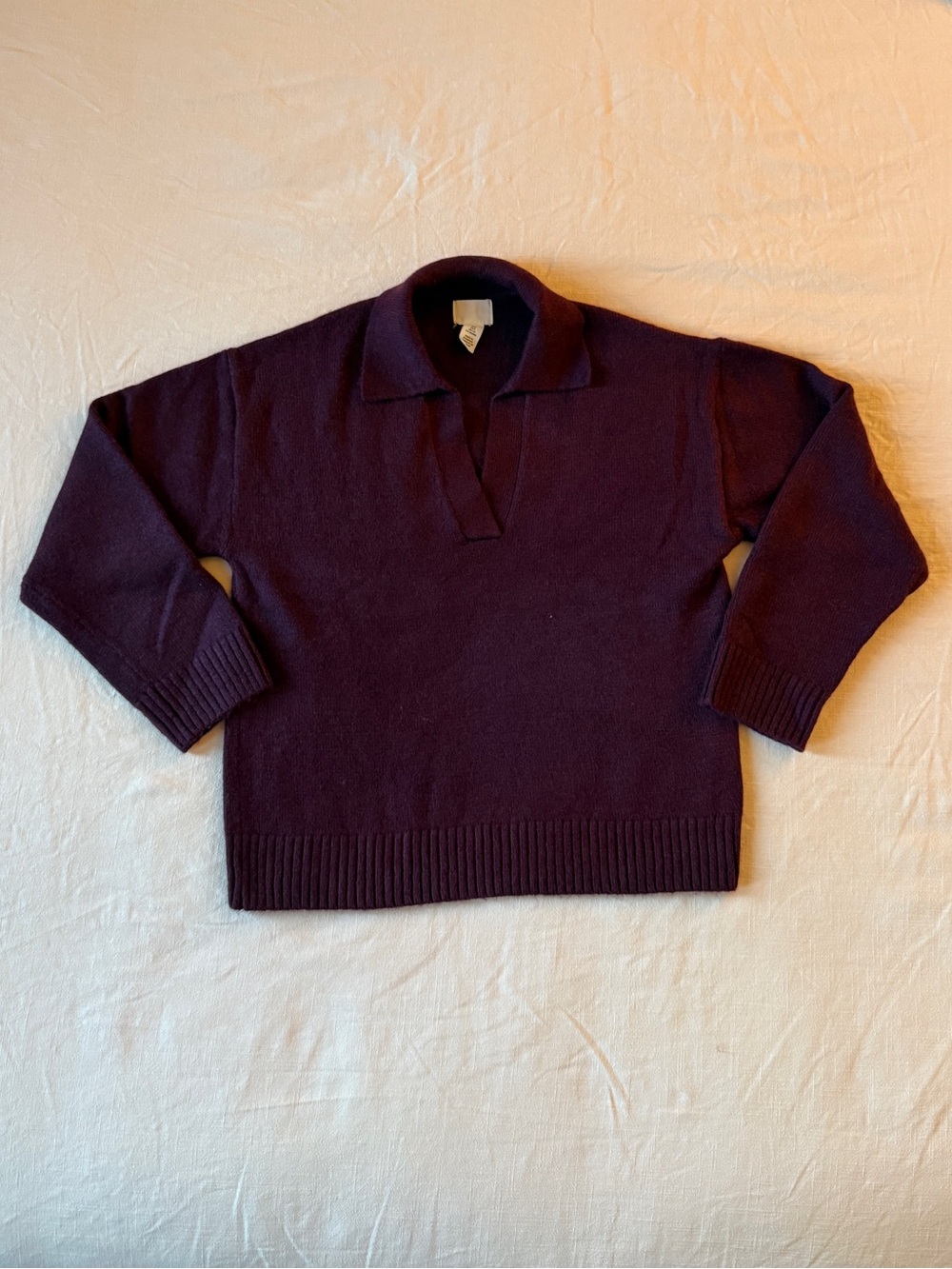 NWOT H&M Fine-Knit Collared V-Neck Sweater in Burgundy